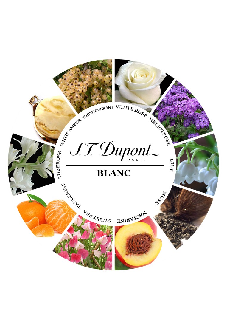 S.T. Dupont Blanc For Women, 100 ml, EDP