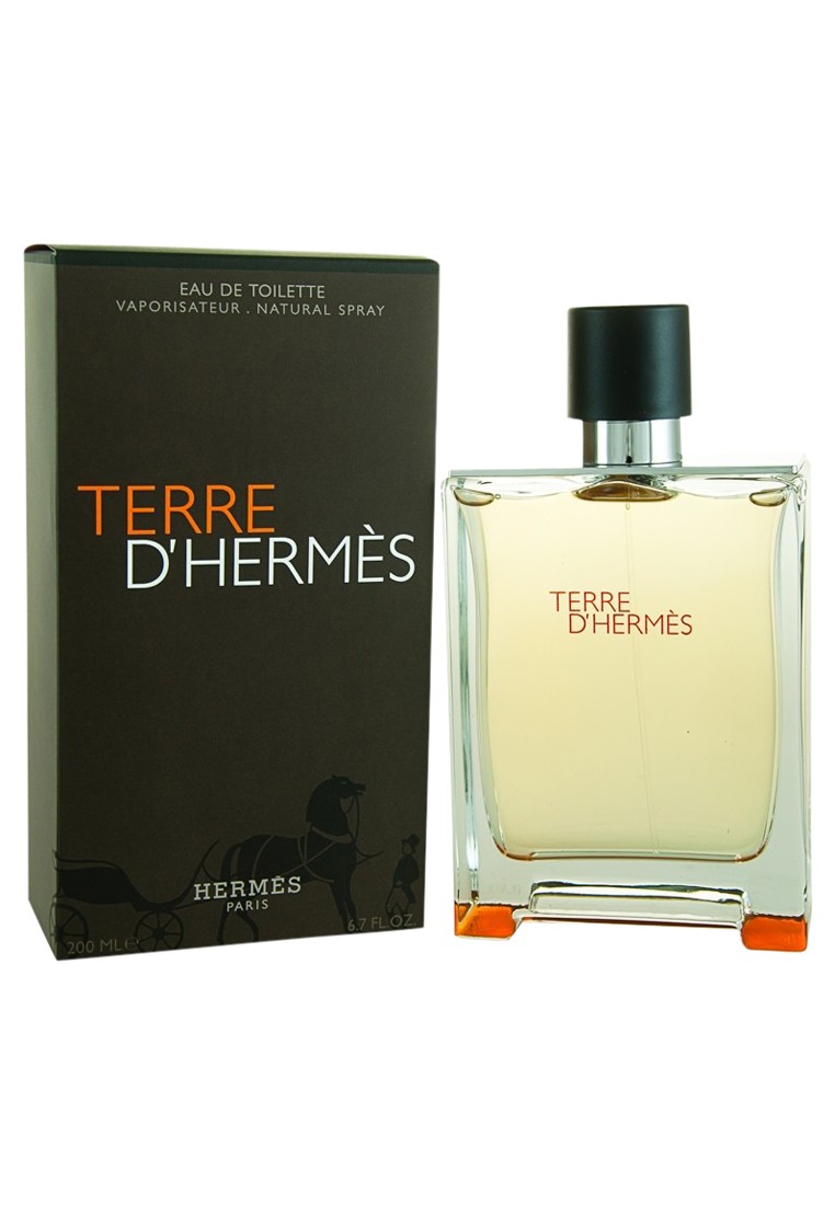 Hermes Terre D' Hermes For Men, 100 ml, EDT